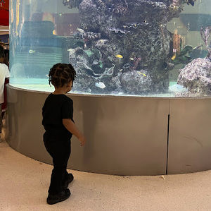 Meet your Posher, Mario